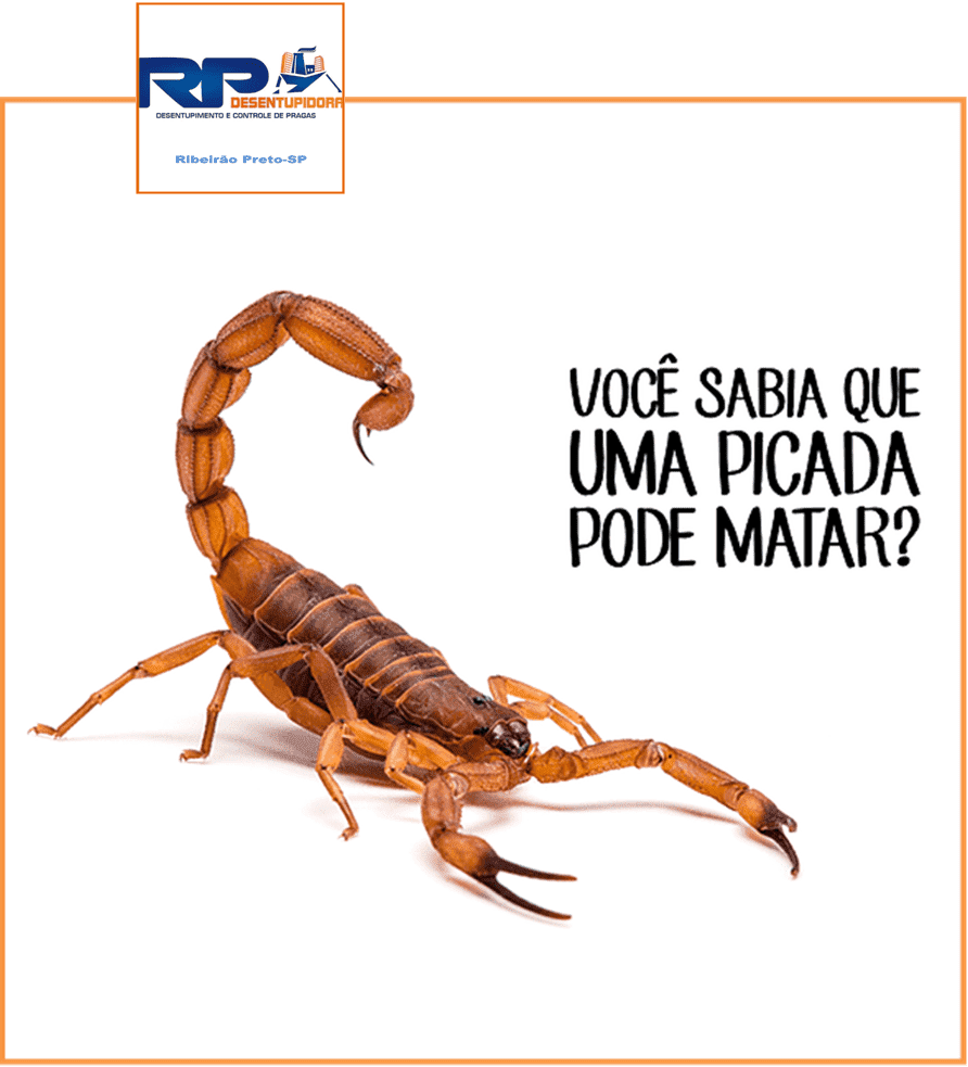 Controle de pragas Restaurantes em Ribeirão Preto